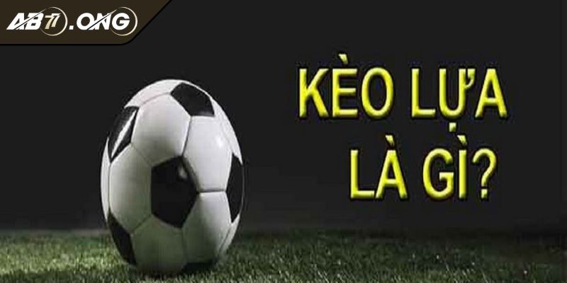Khám phá cơ bản về Kèo lựa là gì cần biết
